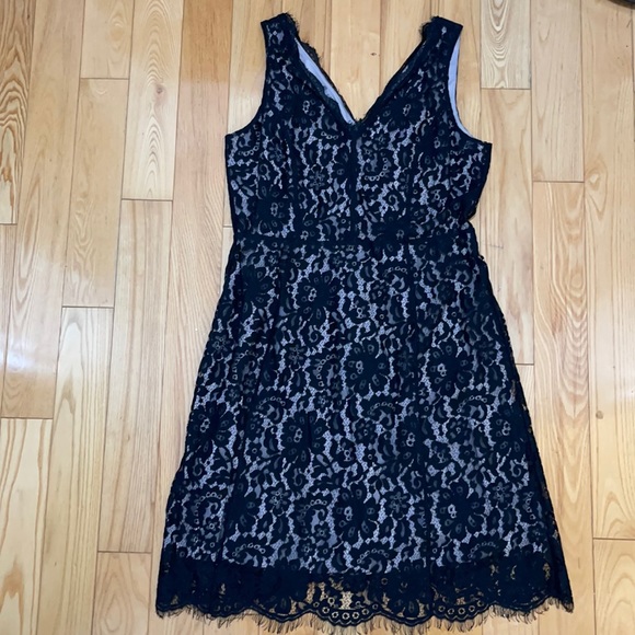 NWT Loft Outlet Black Lace dress size 6